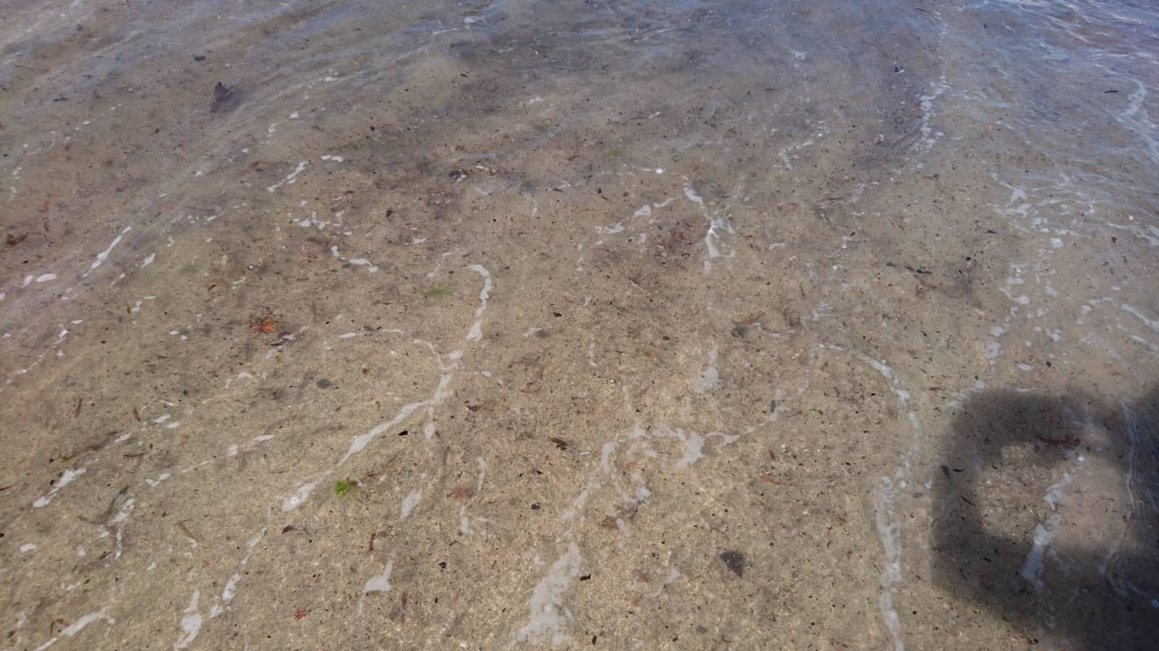 Wasser und Strand verdreckt Playabachata Hotel