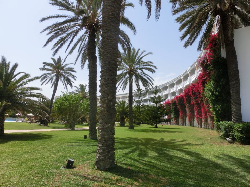 Zimmer zum Pool & Meer hin Oceana Hotel & Spa