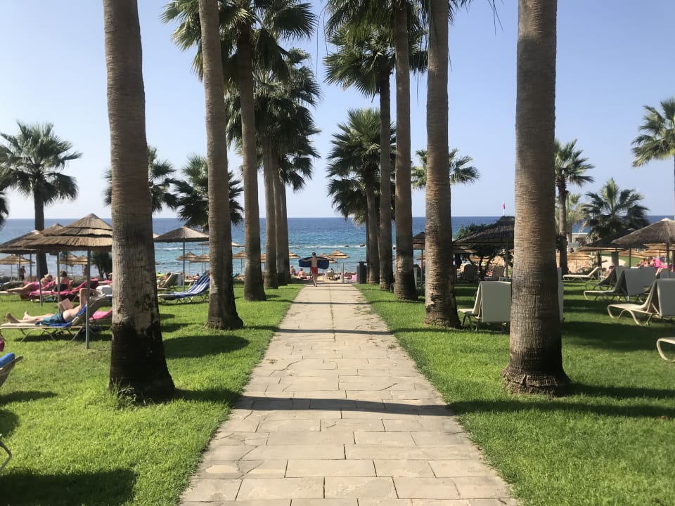 Gartenanlage St. George Beach Hotel & Spa Resort