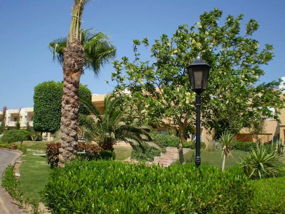 Gartenanlage Golden Beach Resort
