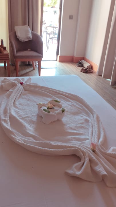 Zimmer Jiva Beach Resort