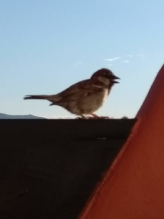 Sonstiges Apartments Manilva Green