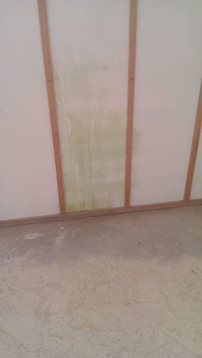 "Schimmelbekäpfung" auf Athuruga-Art ananea Diamonds Athuruga