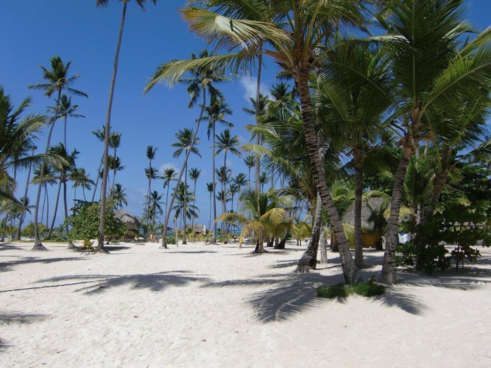 Kokospalmenstrand Villas Bavaro Resort & Spa