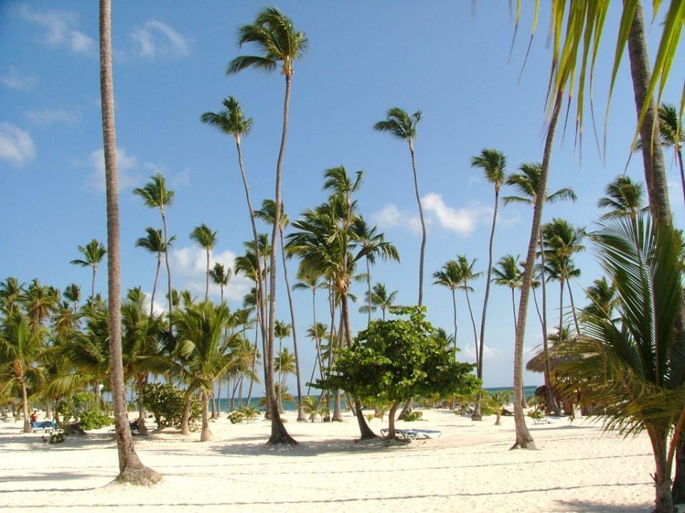 Stand Villas Bavaro Resort & Spa