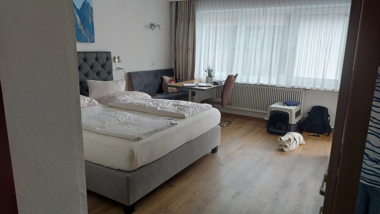 Zimmer Apartments Herold