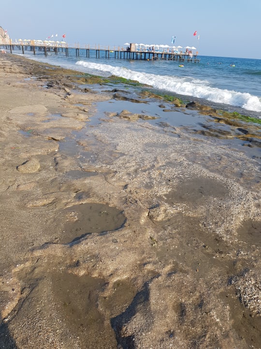 Strand Dizalya Palm Garden