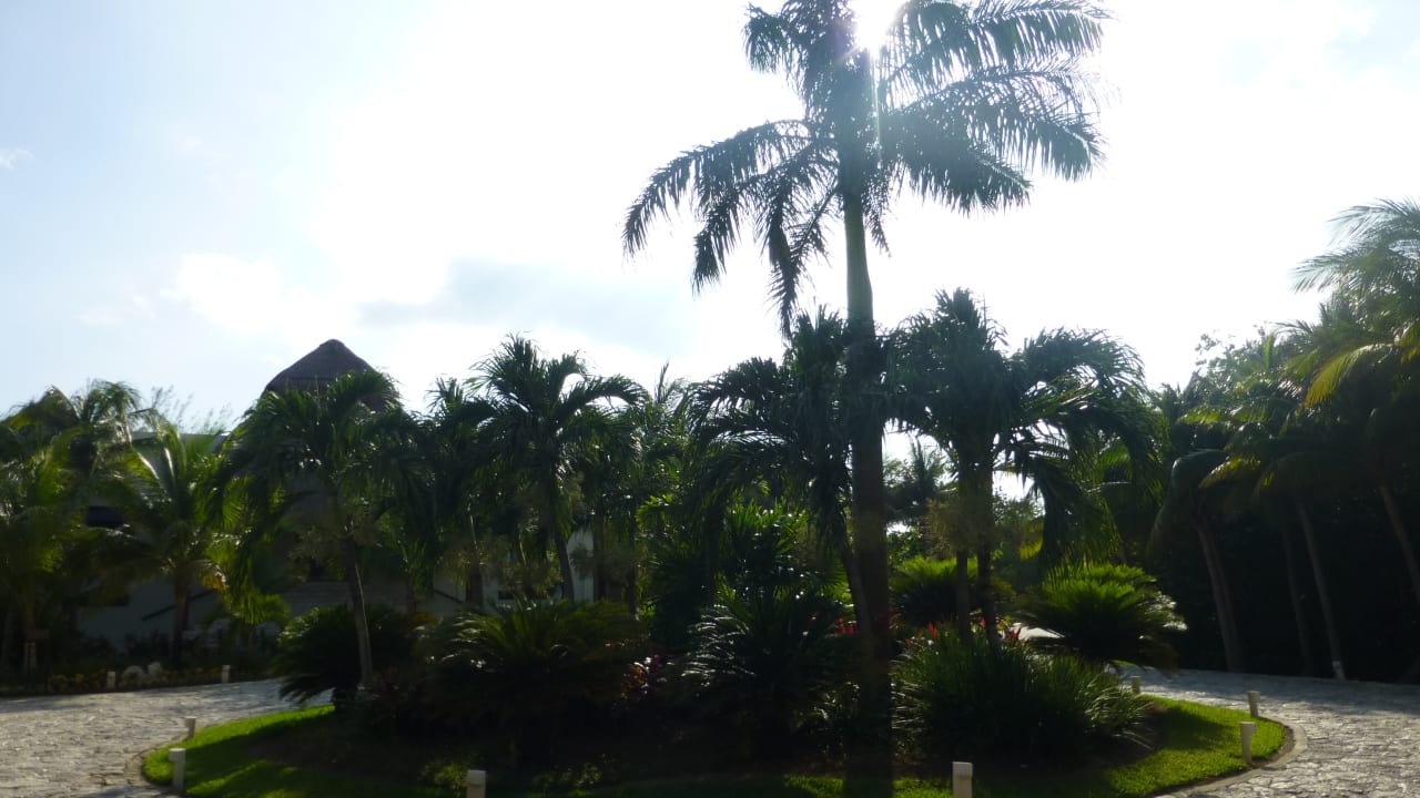 Gartenanlage Akumal Bay Beach & Wellness Resort