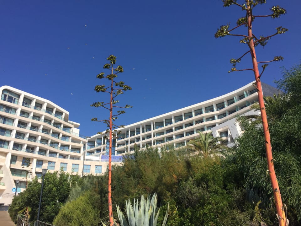 Außenansicht Sesimbra Oceanfront Hotel