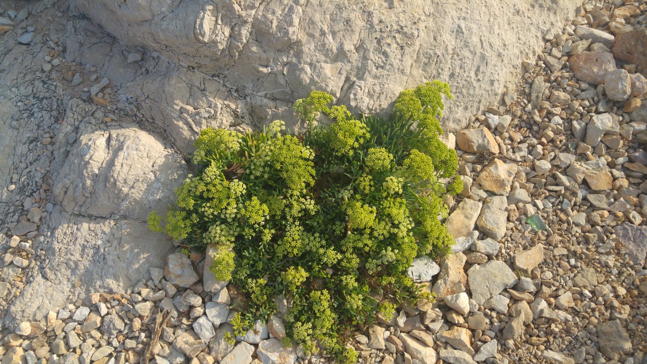 Sonstiges Hotel Na Forana