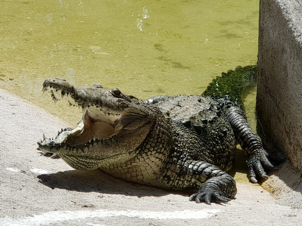 Sonstiges Grand Palladium Kantenah Resort & Spa