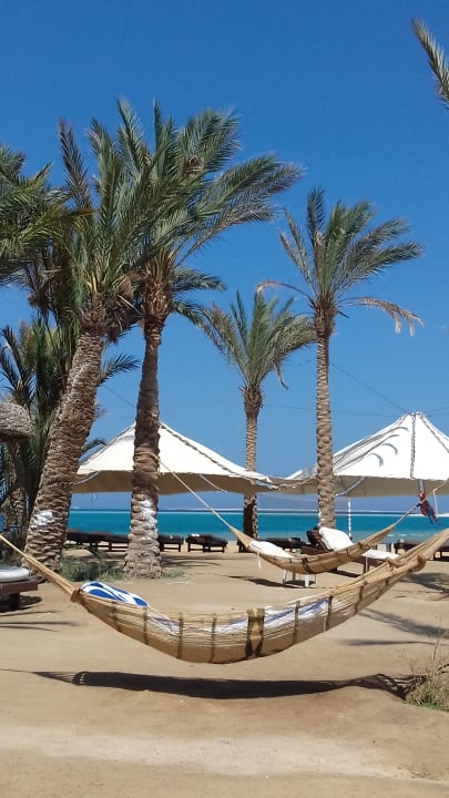 Strand Palm Royale Resort - Soma Bay