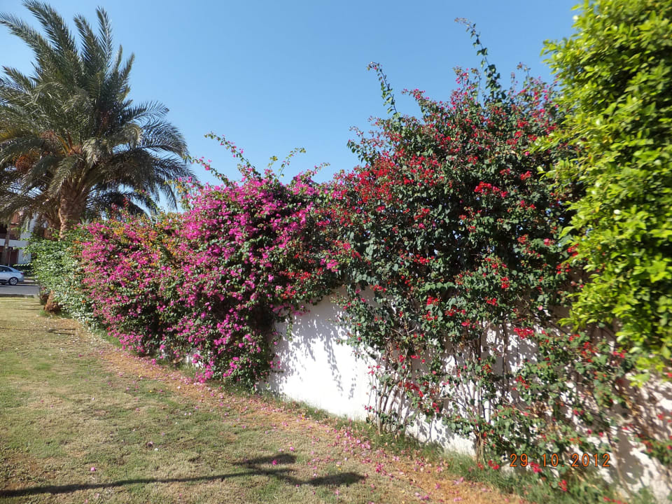 Оформление забора Blend Club Aqua Resort