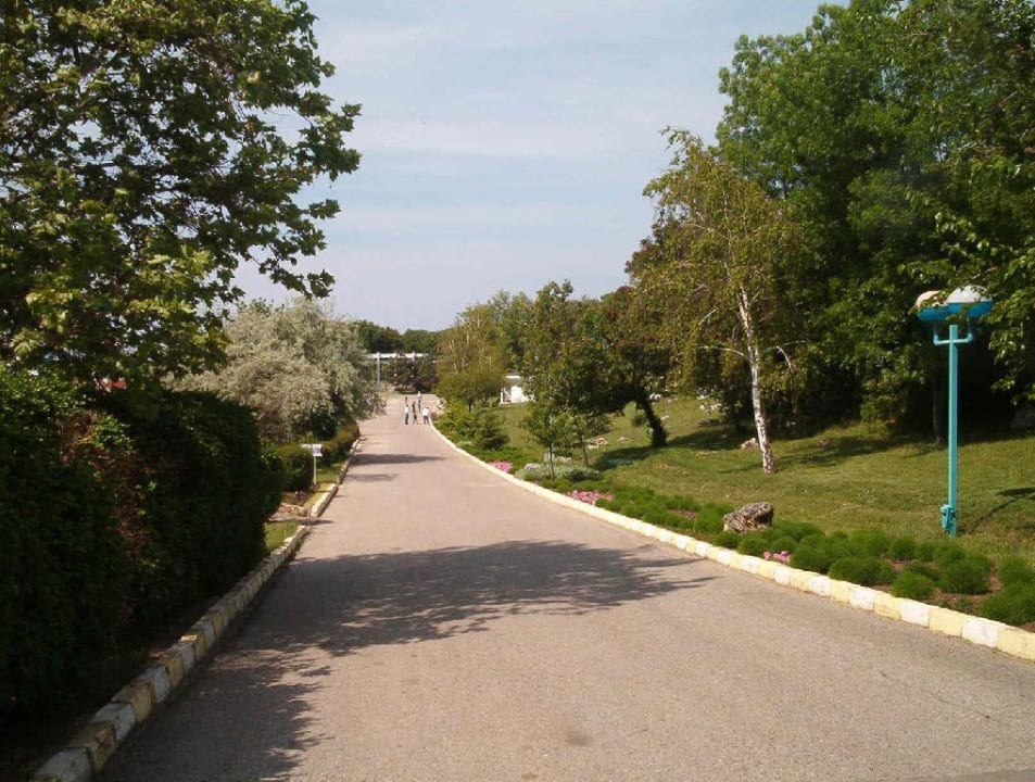 Hauptweg durch die Anlage Hotel Russalka