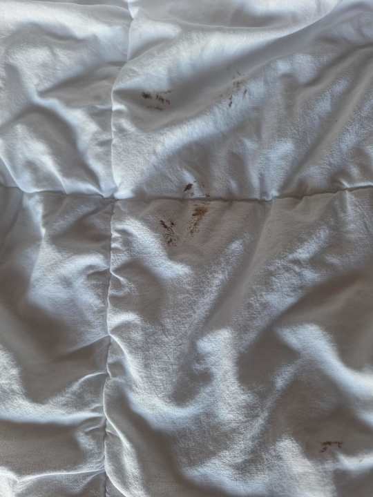 Zimmer Hotel Delphin Imperial