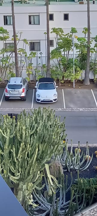 Sonstiges Seaside Hotel Palm Beach