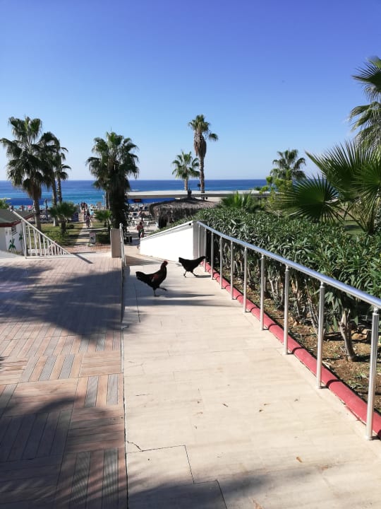 Außenansicht Sultan of Dreams Hotel & Spa