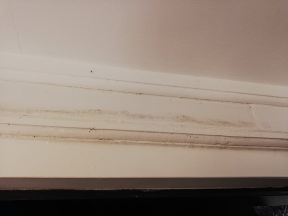 Zimmer Taj Bentota Resort & Spa