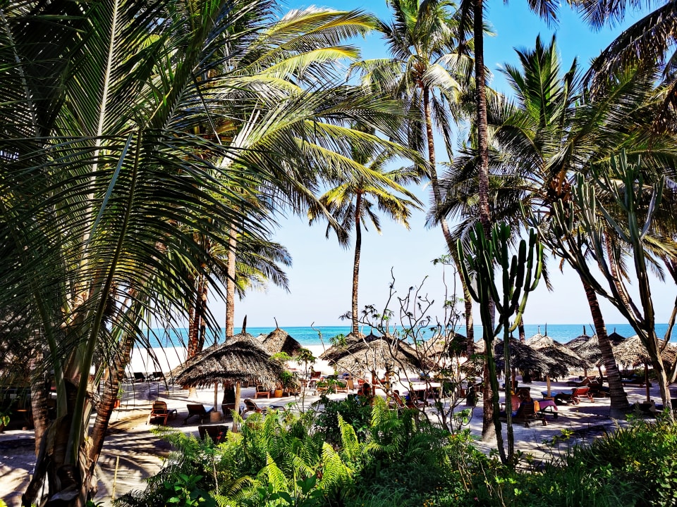 Ausblick Hotel Pinewood Beach Resort & Spa