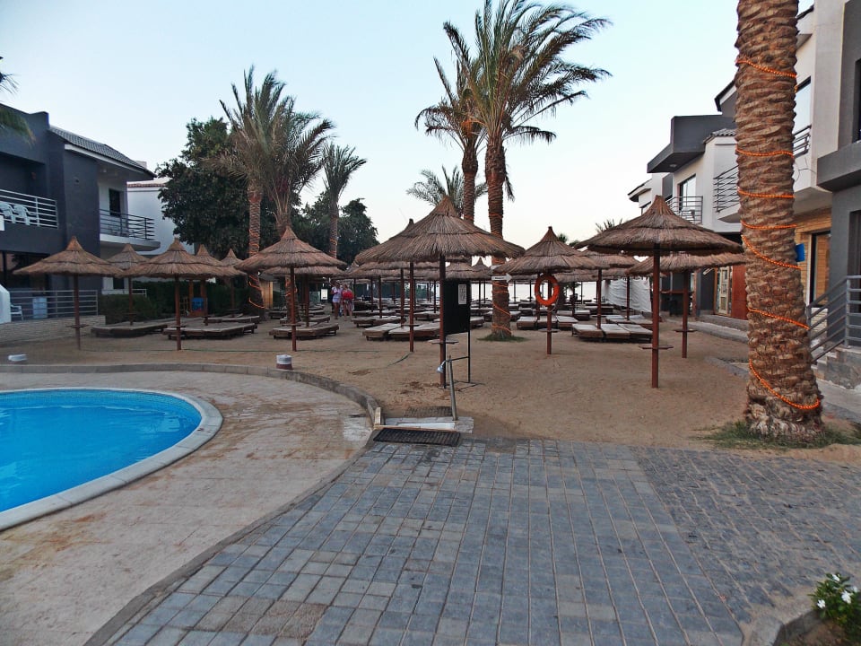 Plaża- premium Seagull Beach Resort