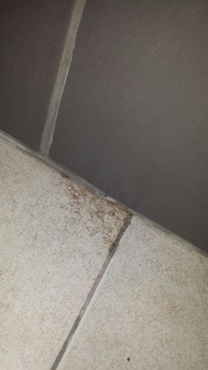 Schmutz in der Dusche AQI Pegasos World