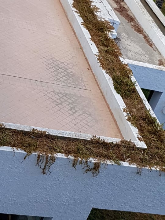 Gartenanlage Hotel Bel Azur Thalasso & Bungalows