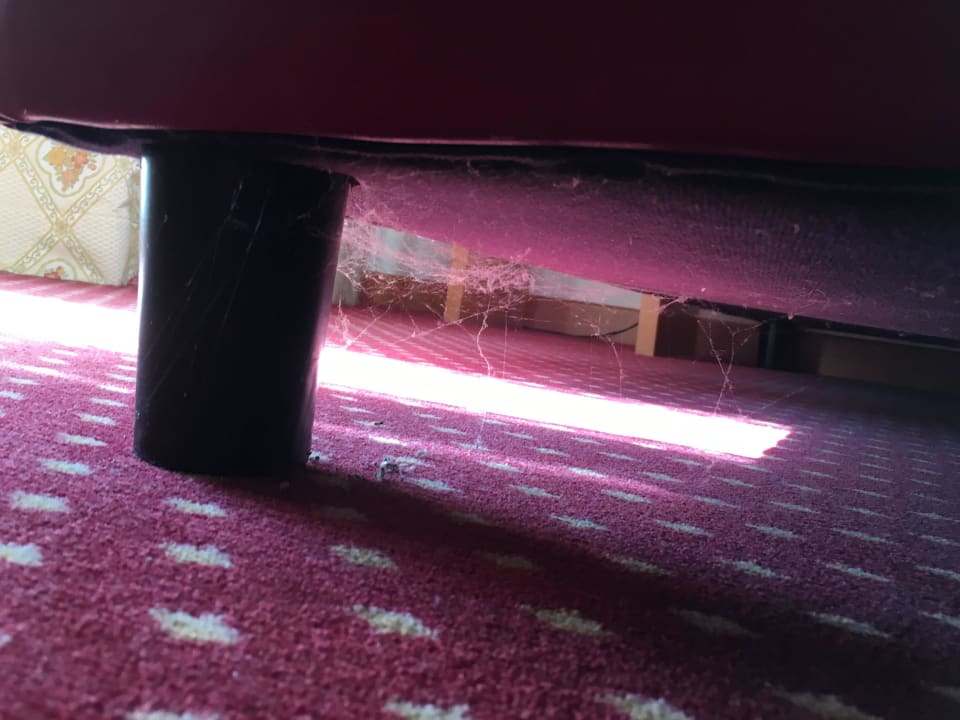 Spinnenweben Hotel Oliveto