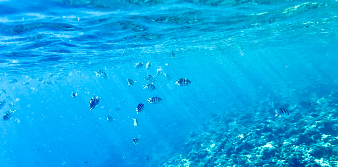 Strand Beach Safari Nubian Resort