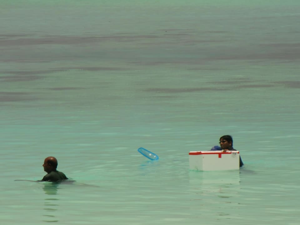 Einsammeln der toten Fische Sun Siyam Iru Fushi