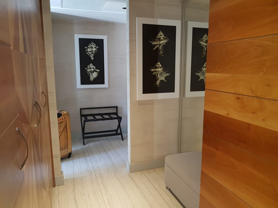 Zimmer Acanthus Cennet Barut Collection