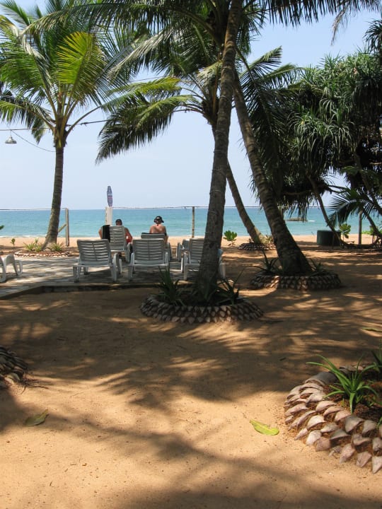 Anlage Hotel Panchi Beach