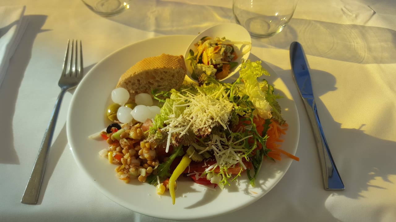 Gastro Smy Portocolom