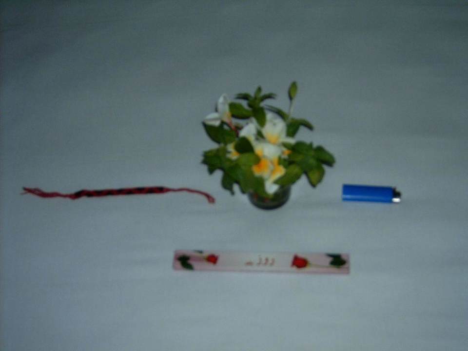 Abschiedsgeschenkt vom Putzmann Ghazala Gardens