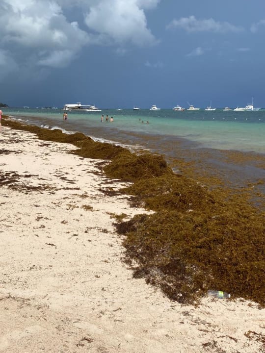 Strand Lopesan Costa Bávaro Resort, Spa & Casino