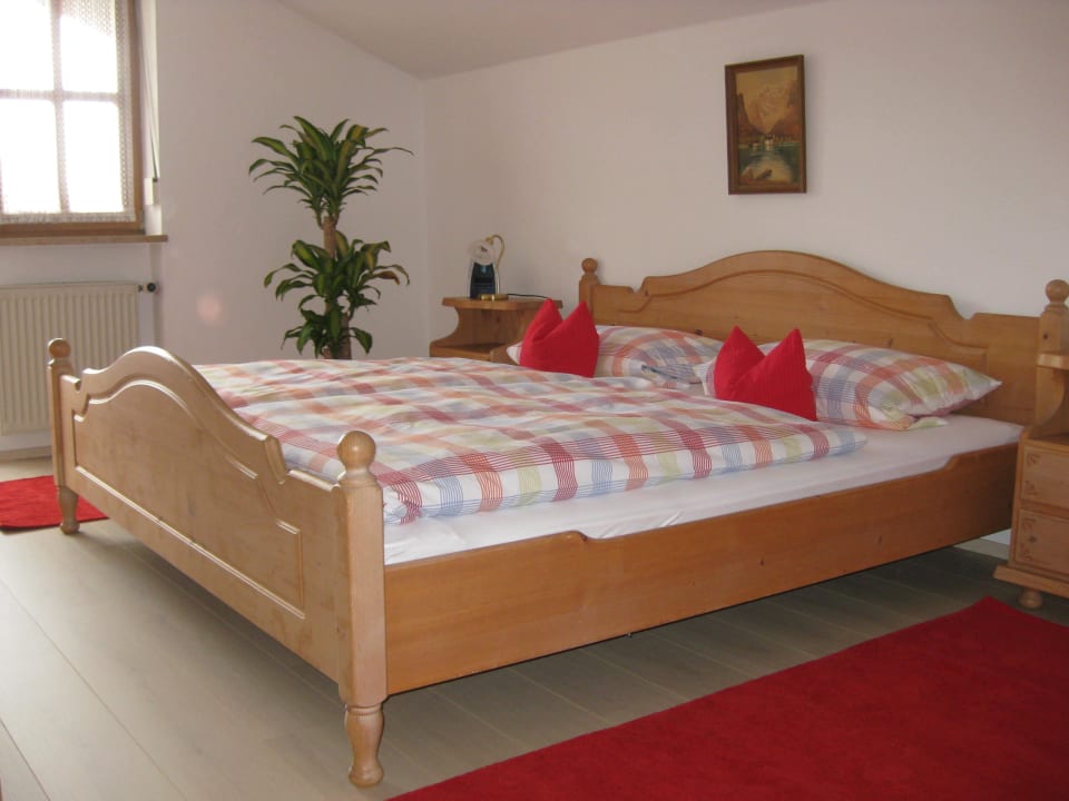 Edelweiss Schlafzimmer Schlafende Hexe im Buchenwald