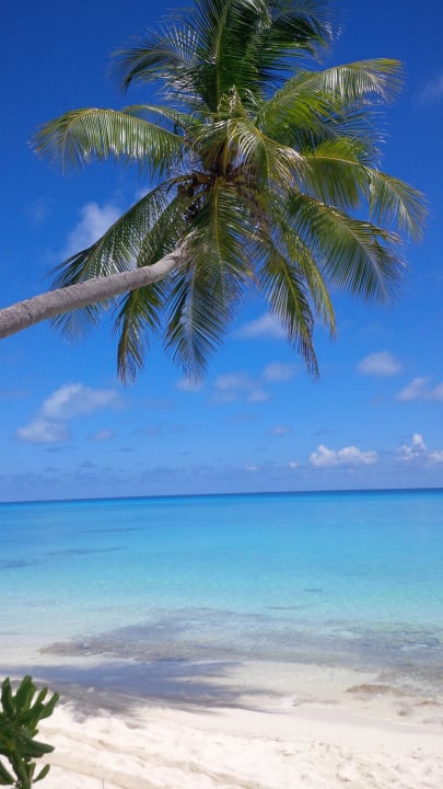 Traumhaft Kuramathi Maldives