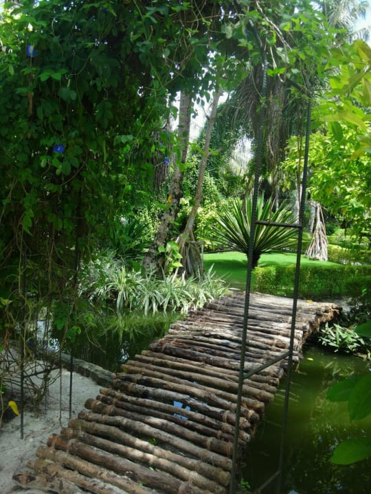 Schöner Garten Adaaran Select Meedhupparu Island Resort - Premium All Inclusive