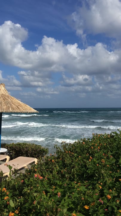 Ausblick Alexander Beach Hotel & Village Resort
