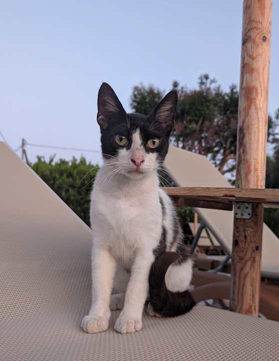 Sonstiges Hotel Albatros