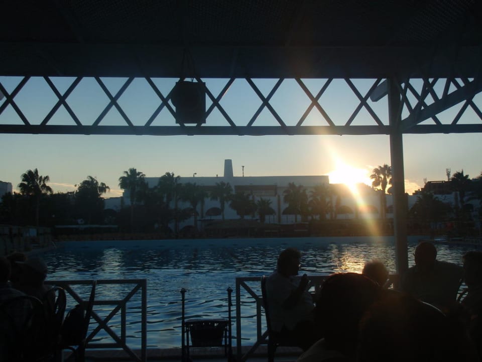 Von der Poolbar zum Hotel  Arabia Azur Resort