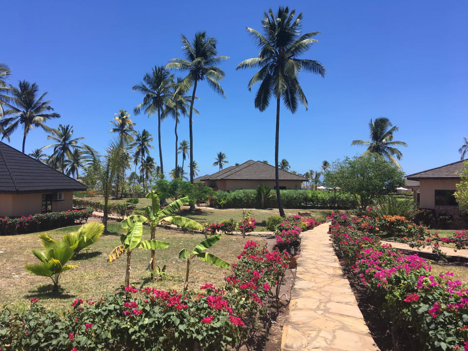 Gartenanlage The Sands Beach Resort