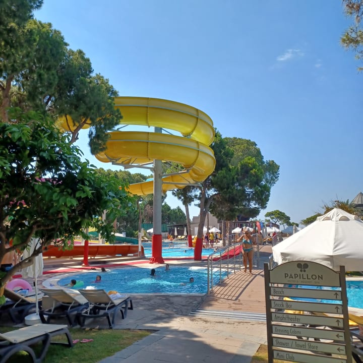 Pool Papillon Ayscha