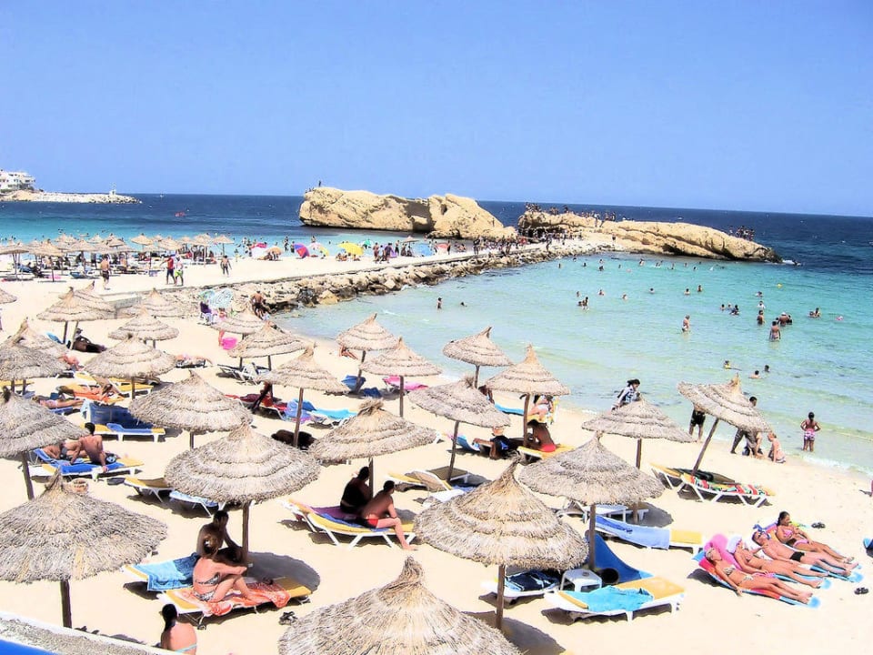 Strand Delphin El Habib