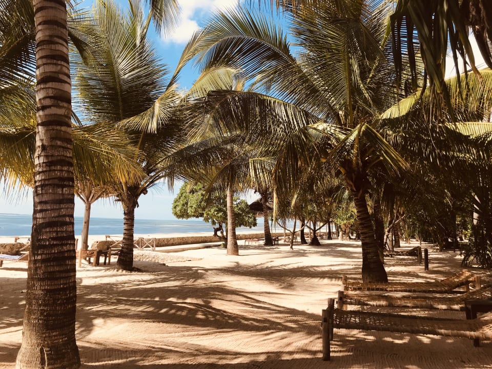 Strand Jaz Adonia Beach Resort