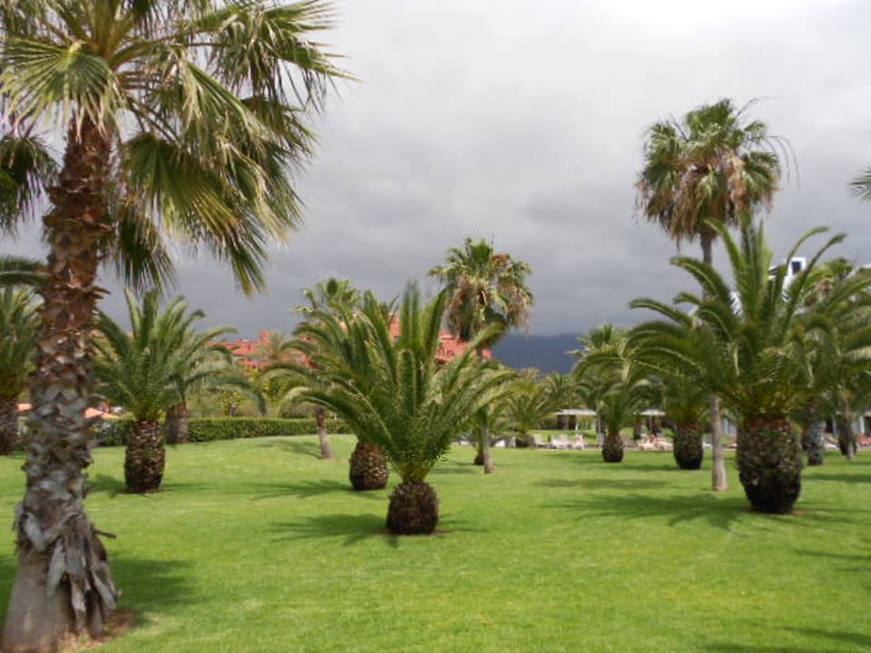 Gartenanlage Hotel Riu Palace Tenerife