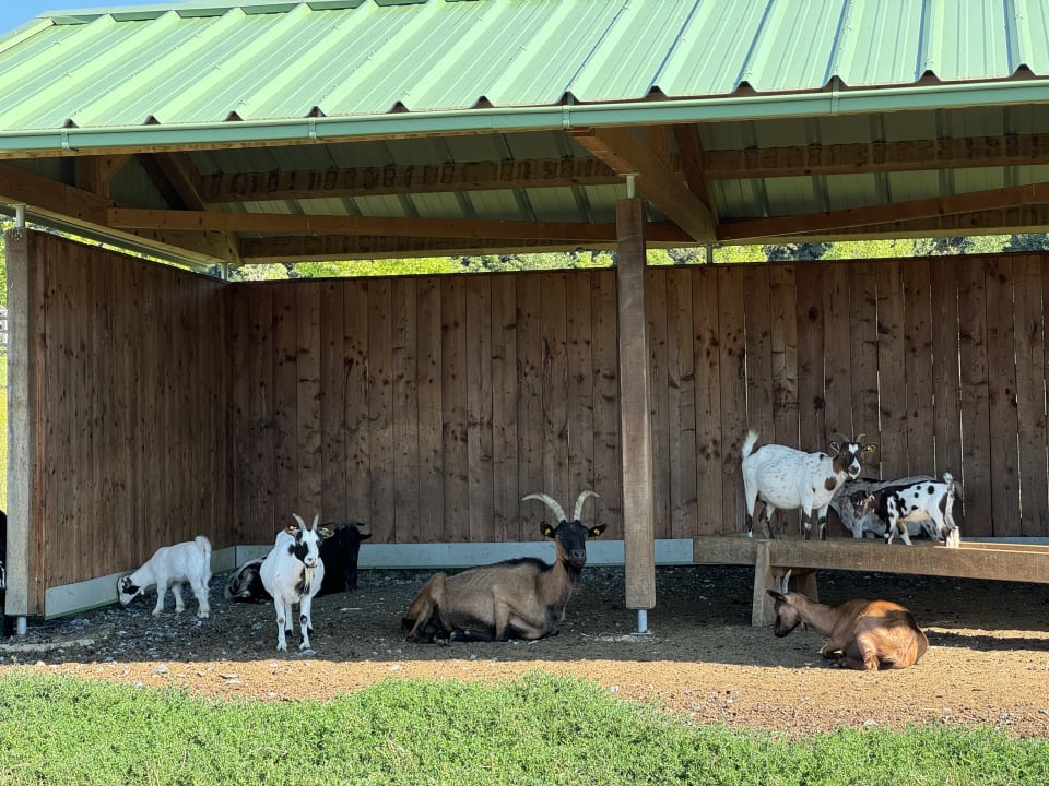 Sonstiges Hotel Reiters Supreme