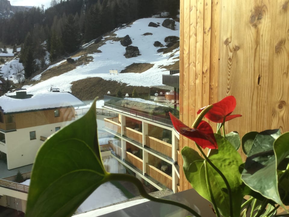 Ausblick Hotel Sassongher