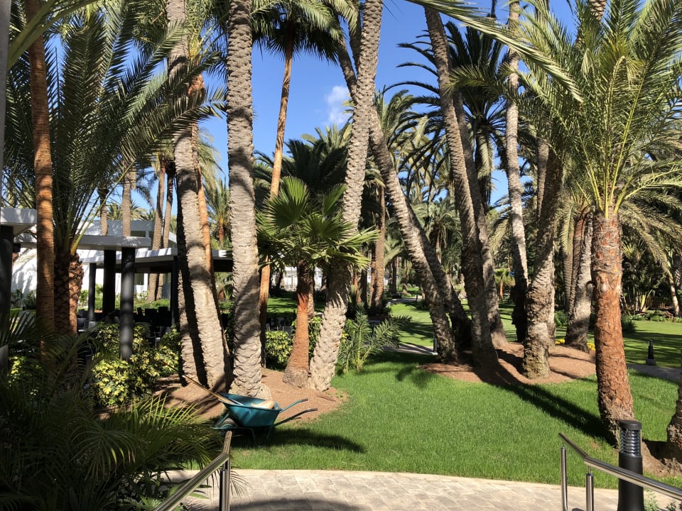 Gartenanlage Hotel Riu Palace Oasis