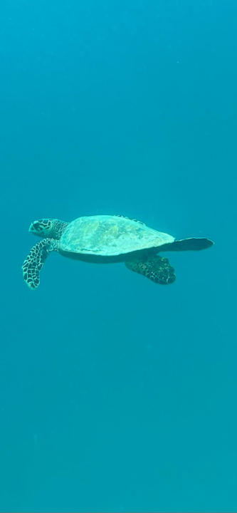 Sport & Freizeit You & Me Maldives - Adults Only - Premium All-Inclusive