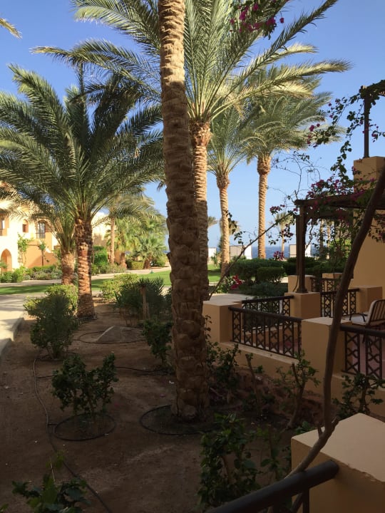 Gartenanlage  Steigenberger Coraya Beach - Adults only